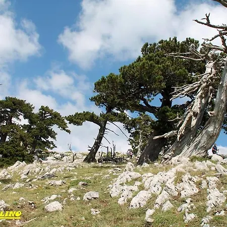 Agriturismo Acampora Cerchiara di Calabria