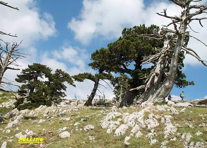 Agriturismo Acampora Cerchiara di Calabria