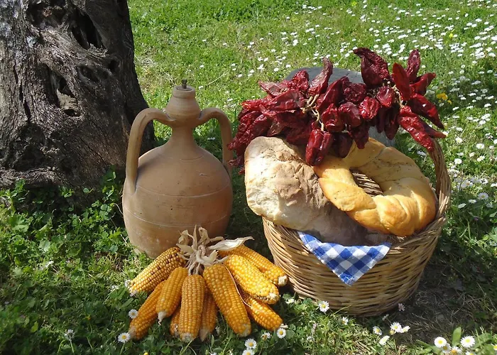 Agriturismo Acampora Cerchiara di Calabria